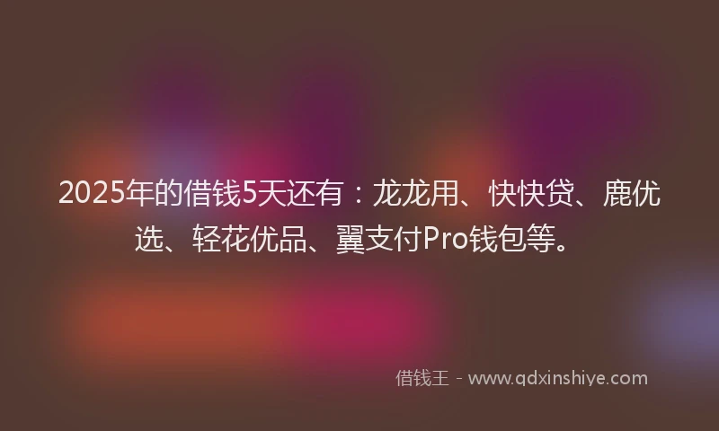 2025年的借钱5天还有：龙龙用、快快贷、鹿优选、轻花优品、翼支付Pro钱包等。
