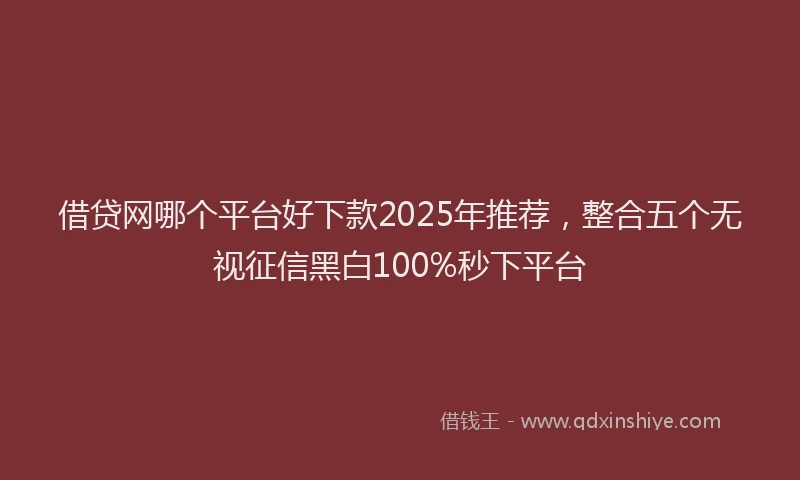 借贷网哪个平台好下款2025年推荐，整合五个无视征信黑白100%秒下平台