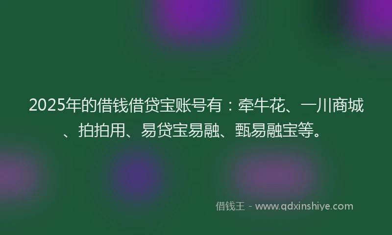 2025年的借钱借贷宝账号有：牵牛花、一川商城、拍拍用、易贷宝易融、甄易融宝等。