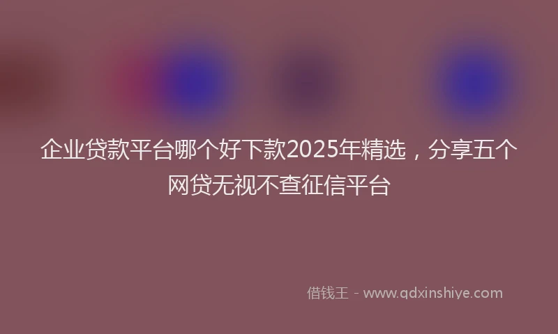 企业贷款平台哪个好下款2025年精选，分享五个网贷无视不查征信平台