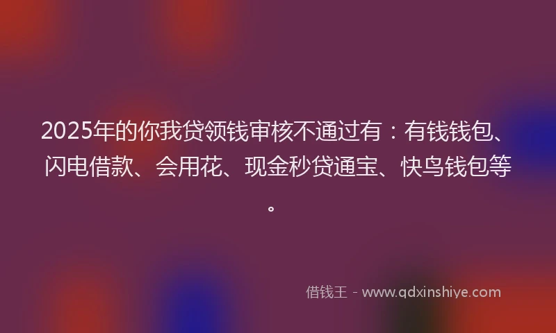 2025年的你我贷领钱审核不通过有：有钱钱包、闪电借款、会用花、现金秒贷通宝、快鸟钱包等。