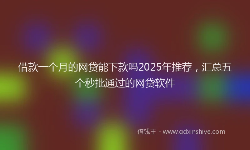 借款一个月的网贷能下款吗2025年推荐，汇总五个秒批通过的网贷软件