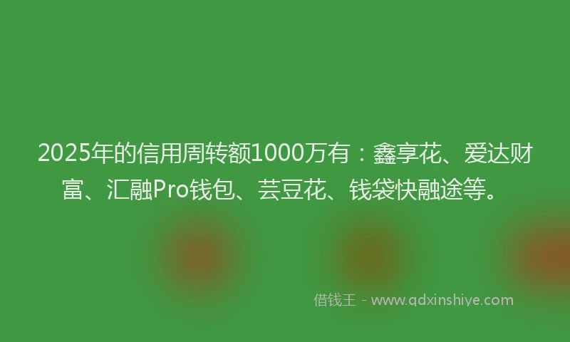 2025年的信用周转额1000万有：鑫享花、爱达财富、汇融Pro钱包、芸豆花、钱袋快融途等。