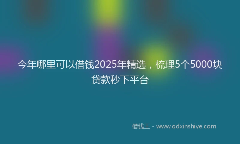 今年哪里可以借钱2025年精选，梳理5个5000块贷款秒下平台