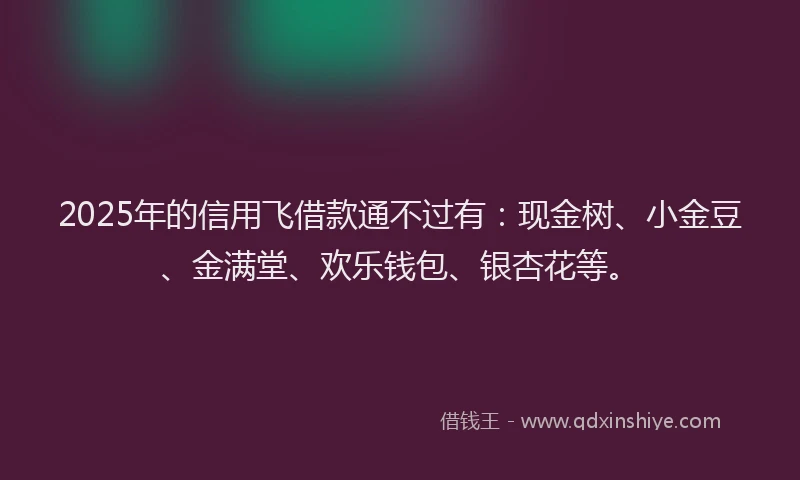 2025年的信用飞借款通不过有：现金树、小金豆、金满堂、欢乐钱包、银杏花等。