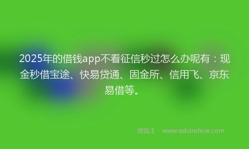 2025年的借钱app不看征信秒过怎么办呢有：现金秒借宝途、快易贷通、固金所、信用飞、京东易借等。