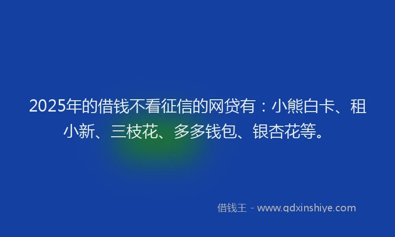2025年的借钱不看征信的网贷有：小熊白卡、租小新、三枝花、多多钱包、银杏花等。