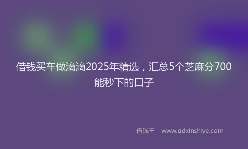 借钱买车做滴滴2025年精选，汇总5个芝麻分700能秒下的口子