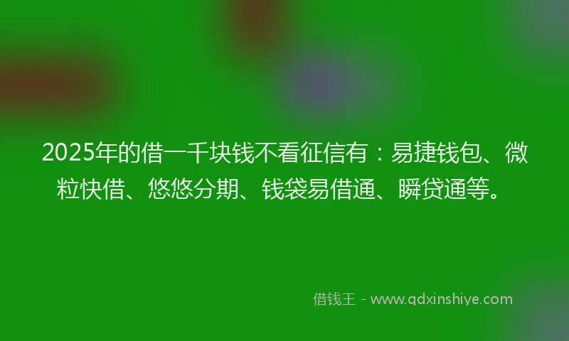 2025年的借一千块钱不看征信有：易捷钱包、微粒快借、悠悠分期、钱袋易借通、瞬贷通等。