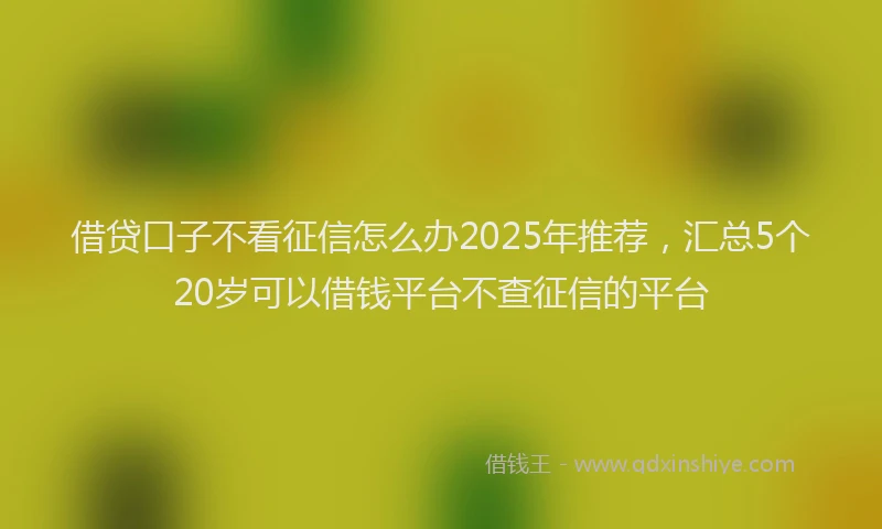 借贷口子不看征信怎么办2025年推荐，汇总5个20岁可以借钱平台不查征信的平台