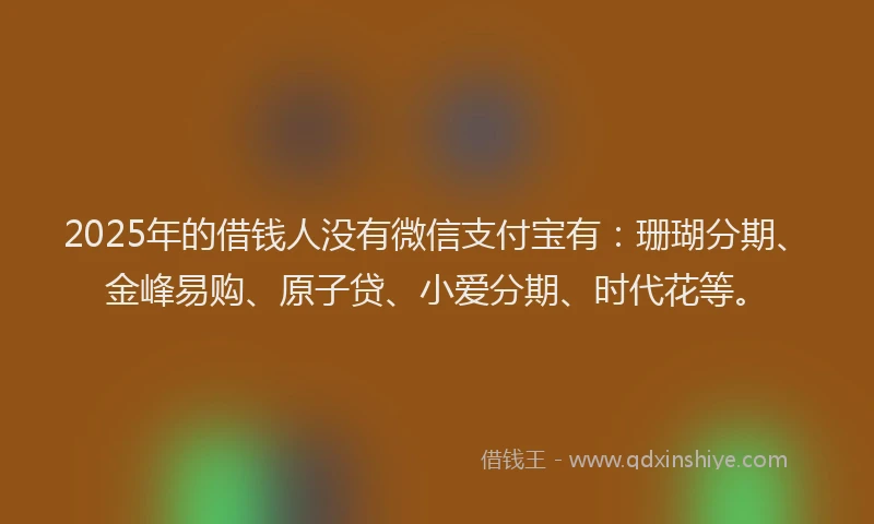 2025年的借钱人没有微信支付宝有：珊瑚分期、金峰易购、原子贷、小爱分期、时代花等。