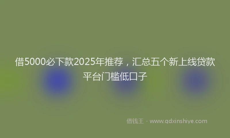 借5000必下款2025年推荐，汇总五个新上线贷款平台门槛低口子