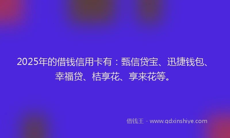 2025年的借钱信用卡有：甄信贷宝、迅捷钱包、幸福贷、桔享花、享来花等。