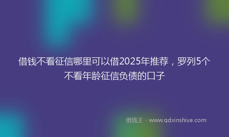 借钱不看征信哪里可以借2025年推荐，罗列5个不看年龄征信负债的口子