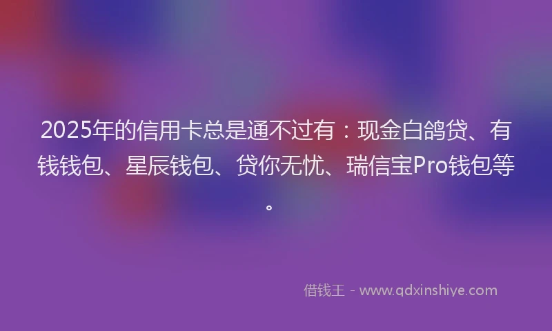 2025年的信用卡总是通不过有：现金白鸽贷、有钱钱包、星辰钱包、贷你无忧、瑞信宝Pro钱包等。