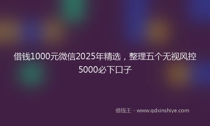 借钱1000元微信2025年精选，整理五个无视风控5000必下口子