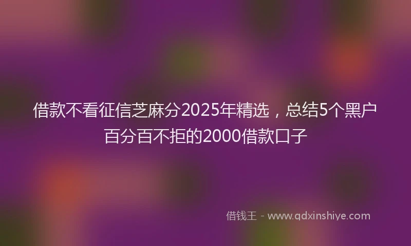 借款不看征信芝麻分2025年精选，总结5个黑户百分百不拒的2000借款口子