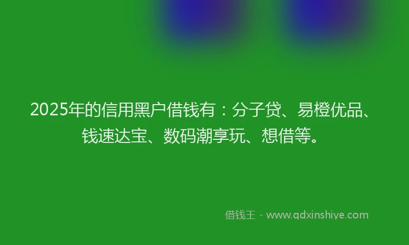 2025年的信用黑户借钱有：分子贷、易橙优品、钱速达宝、数码潮享玩、想借等。
