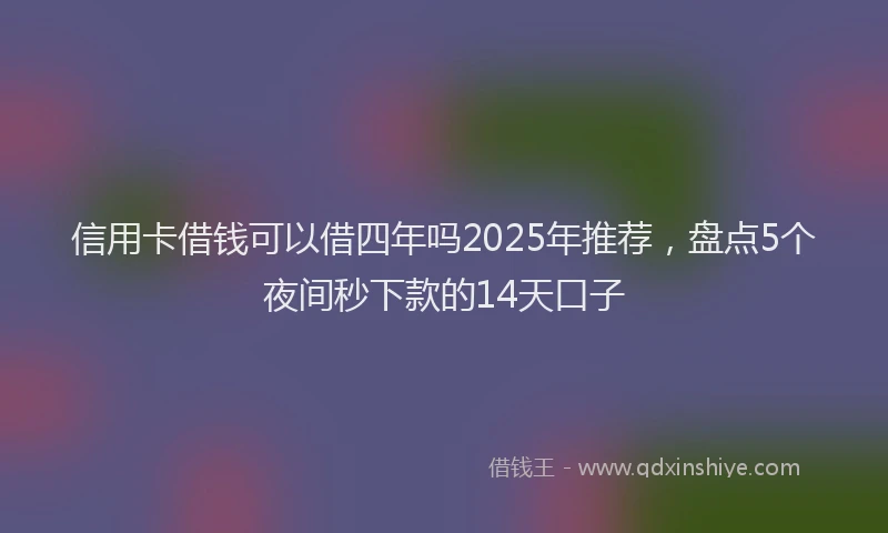 信用卡借钱可以借四年吗2025年推荐，盘点5个夜间秒下款的14天口子