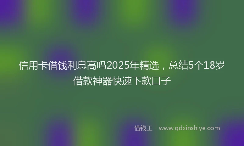 信用卡借钱利息高吗2025年精选，总结5个18岁借款神器快速下款口子