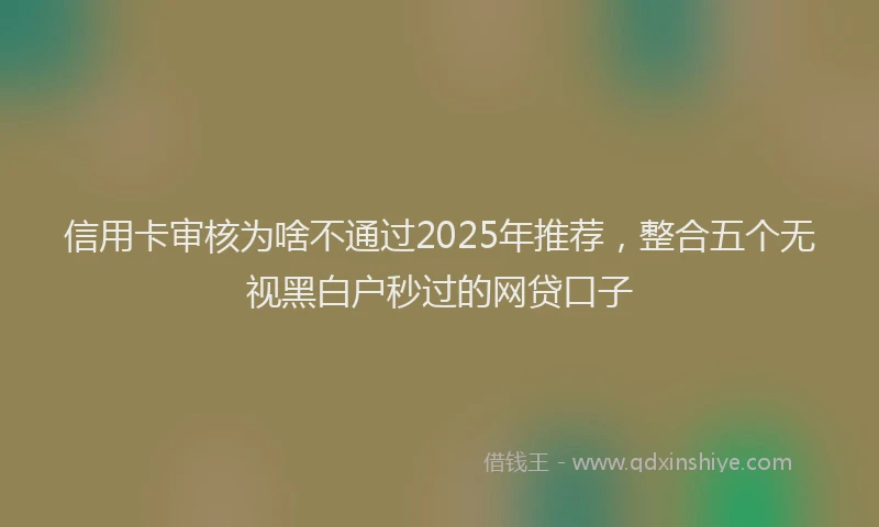 信用卡审核为啥不通过2025年推荐，整合五个无视黑白户秒过的网贷口子
