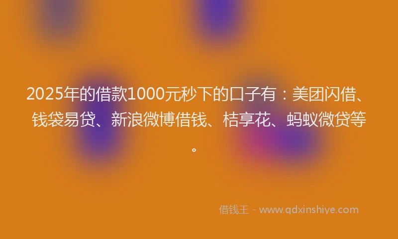 2025年的借款1000元秒下的口子有：美团闪借、钱袋易贷、新浪微博借钱、桔享花、蚂蚁微贷等。
