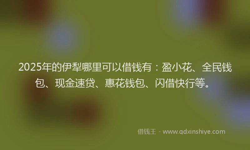 2025年的伊犁哪里可以借钱有：盈小花、全民钱包、现金速贷、惠花钱包、闪借快行等。