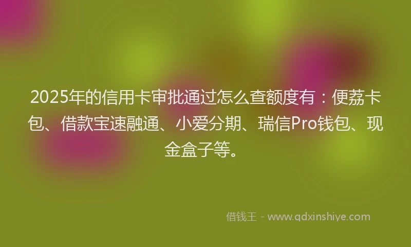 2025年的信用卡审批通过怎么查额度有：便荔卡包、借款宝速融通、小爱分期、瑞信Pro钱包、现金盒子等。