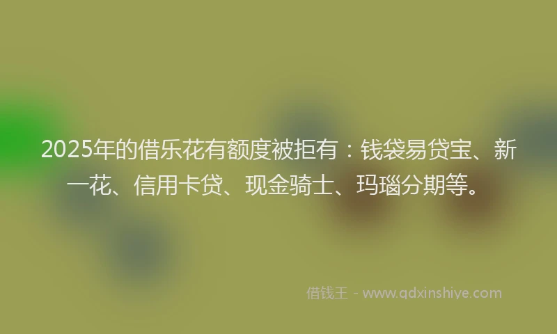 2025年的借乐花有额度被拒有：钱袋易贷宝、新一花、信用卡贷、现金骑士、玛瑙分期等。
