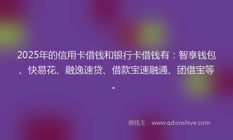 2025年的信用卡借钱和银行卡借钱有：智享钱包、快易花、融逸速贷、借款宝速融通、团借宝等。