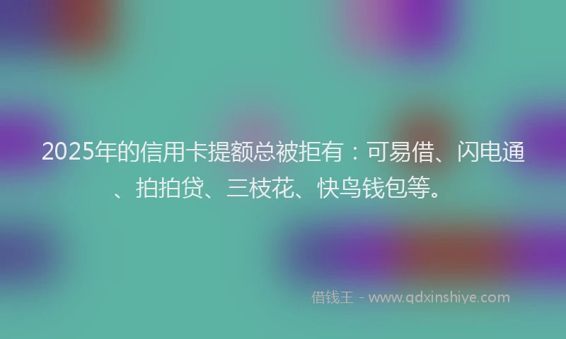 2025年的信用卡提额总被拒有：可易借、闪电通、拍拍贷、三枝花、快鸟钱包等。