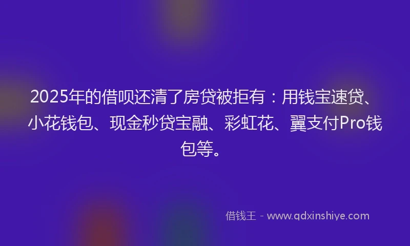 2025年的借呗还清了房贷被拒有：用钱宝速贷、小花钱包、现金秒贷宝融、彩虹花、翼支付Pro钱包等。