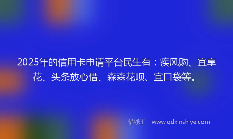 2025年的信用卡申请平台民生有：疾风购、宜享花、头条放心借、森森花呗、宜口袋等。