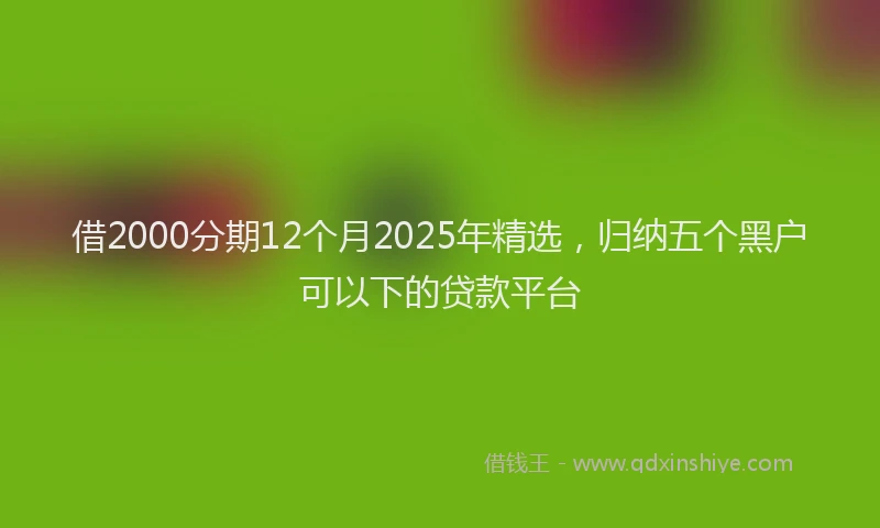 借2000分期12个月2025年精选，归纳五个黑户可以下的贷款平台
