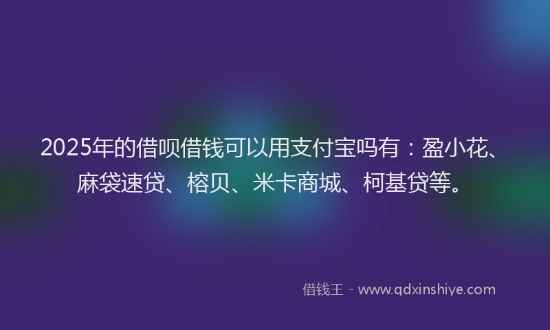 2025年的借呗借钱可以用支付宝吗有：盈小花、麻袋速贷、榕贝、米卡商城、柯基贷等。