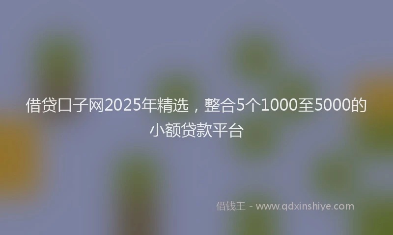 借贷口子网2025年精选，整合5个1000至5000的小额贷款平台