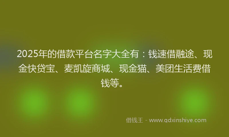 2025年的借款平台名字大全有：钱速借融途、现金快贷宝、麦凯旋商城、现金猫、美团生活费借钱等。