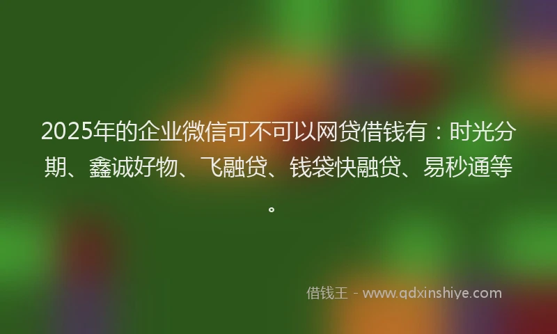 2025年的企业微信可不可以网贷借钱有：时光分期、鑫诚好物、飞融贷、钱袋快融贷、易秒通等。