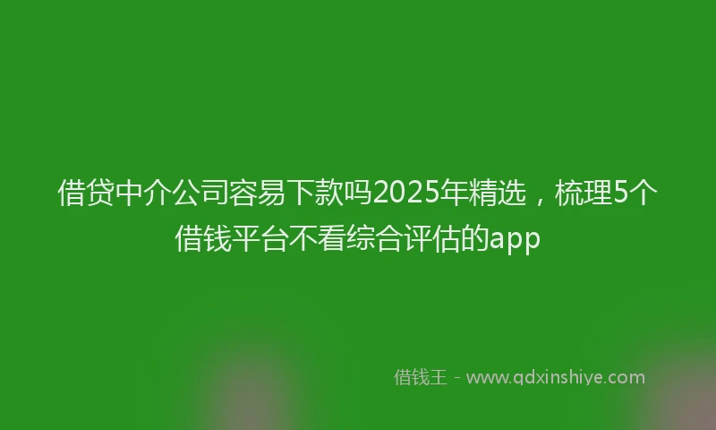 借贷中介公司容易下款吗2025年精选，梳理5个借钱平台不看综合评估的app