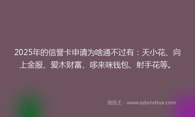 2025年的信誉卡申请为啥通不过有：天小花、向上金服、爱木财富、哆来咪钱包、射手花等。