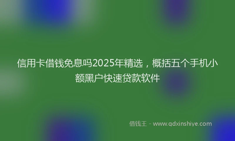 信用卡借钱免息吗2025年精选，概括五个手机小额黑户快速贷款软件