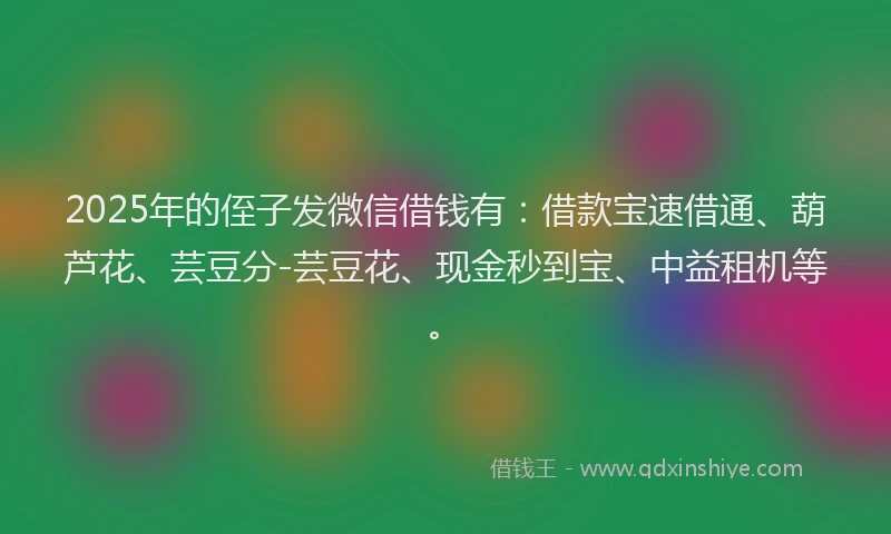 2025年的侄子发微信借钱有：借款宝速借通、葫芦花、芸豆分-芸豆花、现金秒到宝、中益租机等。