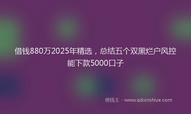 借钱880万2025年精选，总结五个双黑烂户风控能下款5000口子