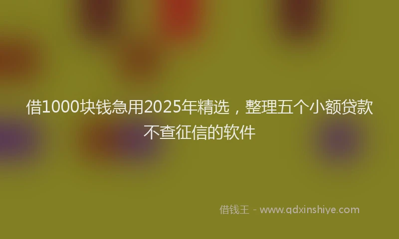 借1000块钱急用2025年精选，整理五个小额贷款不查征信的软件