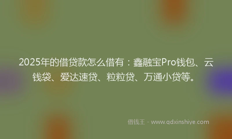 2025年的借贷款怎么借有：鑫融宝Pro钱包、云钱袋、爱达速贷、粒粒贷、万通小贷等。