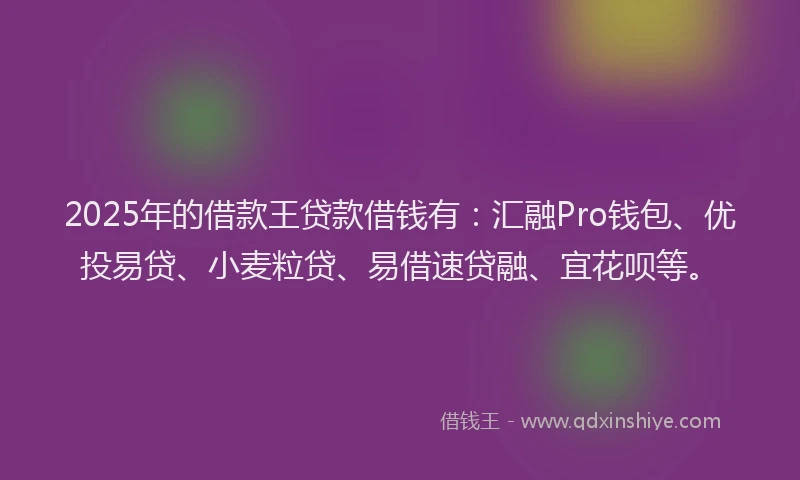2025年的借款王贷款借钱有：汇融Pro钱包、优投易贷、小麦粒贷、易借速贷融、宜花呗等。