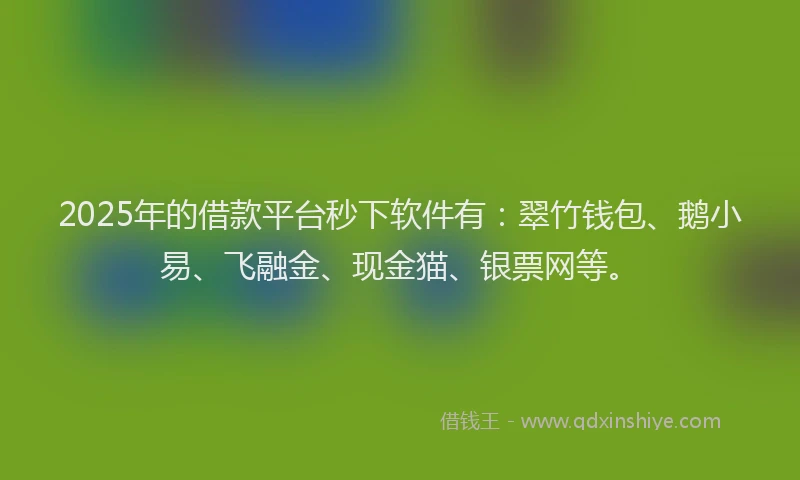 2025年的借款平台秒下软件有：翠竹钱包、鹅小易、飞融金、现金猫、银票网等。