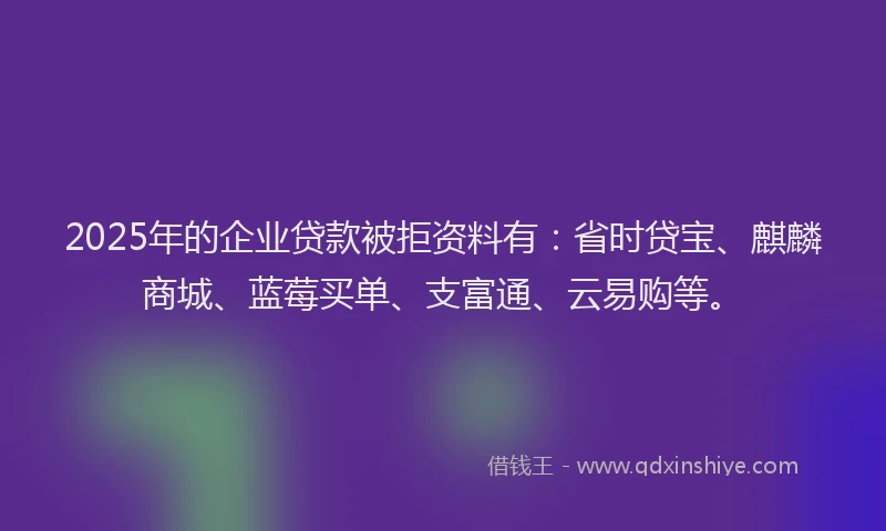 2025年的企业贷款被拒资料有：省时贷宝、麒麟商城、蓝莓买单、支富通、云易购等。