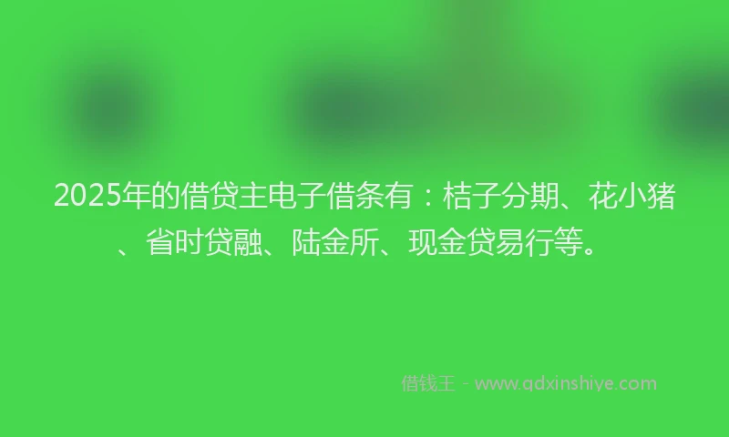 2025年的借贷主电子借条有：桔子分期、花小猪、省时贷融、陆金所、现金贷易行等。