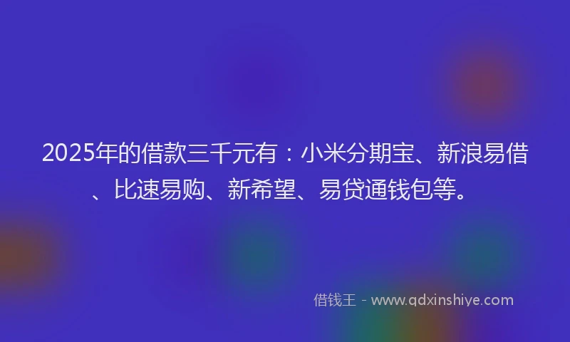 2025年的借款三千元有：小米分期宝、新浪易借、比速易购、新希望、易贷通钱包等。
